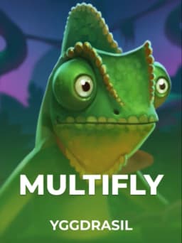Multifly!