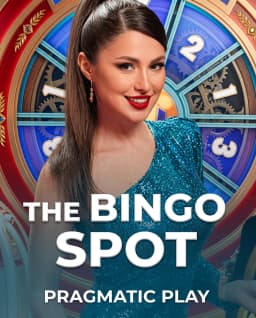The Bingo Spot