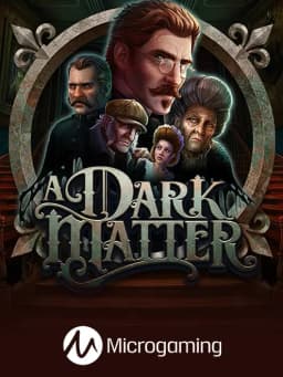 A Dark Matter