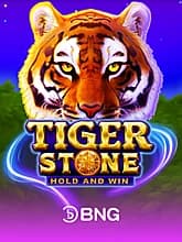 Tiger Stone