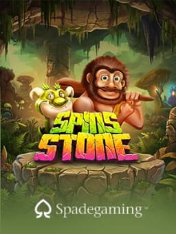 Spin Stone