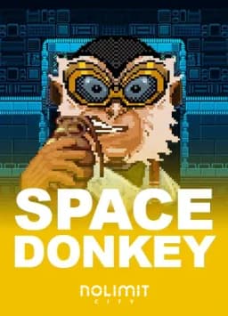 Space Donkey