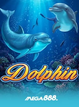 Dolphin OP