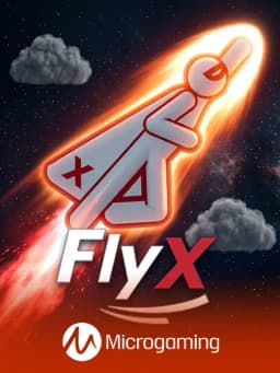 FlyX